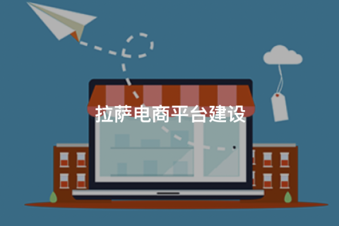 拉薩商城開發怎么做？主流拉薩商城網站搭建方式對比